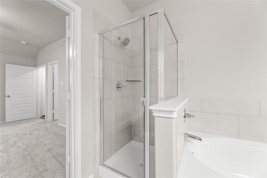 4509 Snakeweed-Primary Suite-6