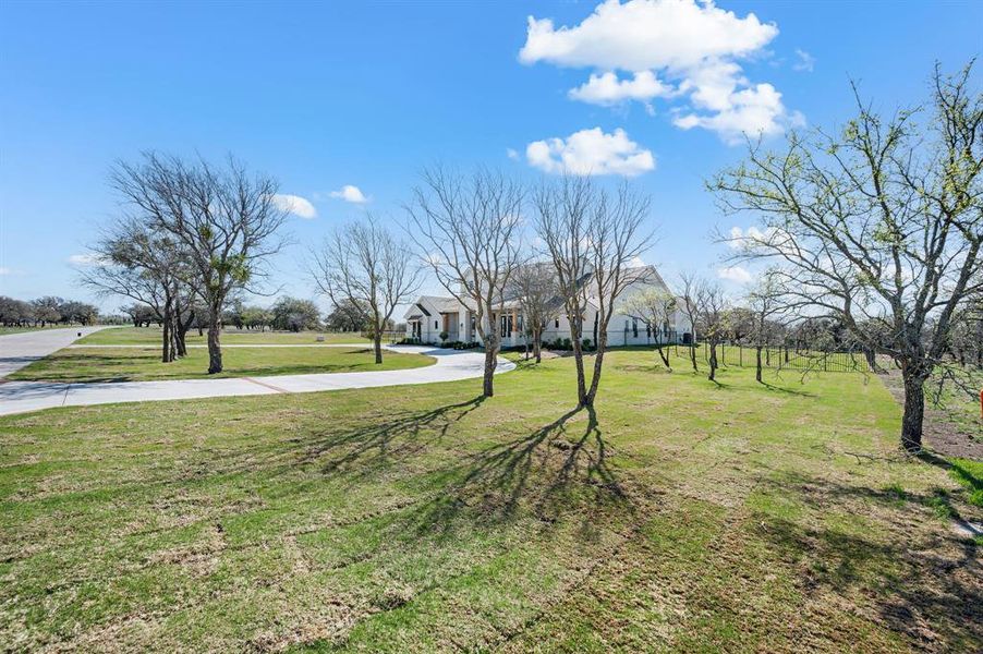 View of grassy yard