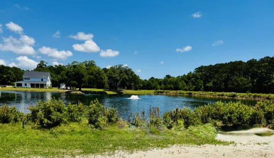 Natural landscape and outdoor views near  in Johns Island (Image 14).