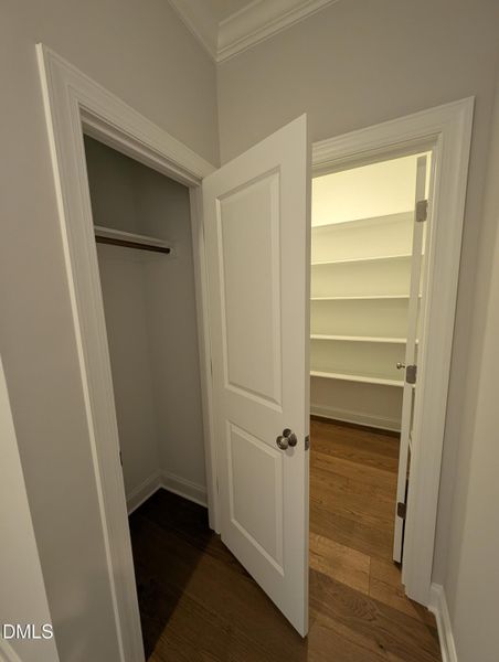 PXL_20251120_144251137