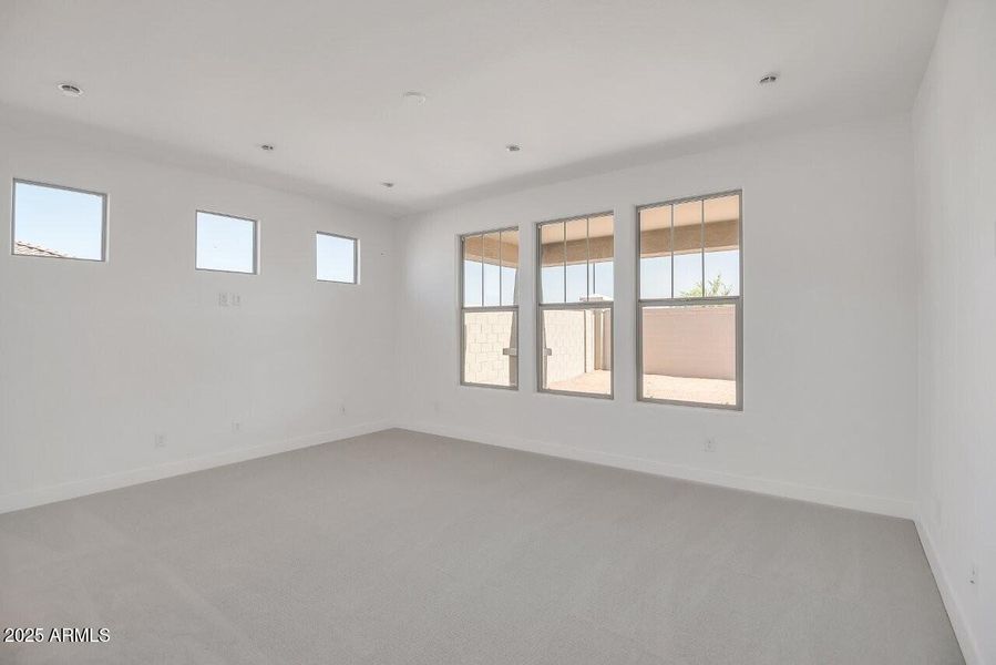 Mesquite Lot 168 (31)