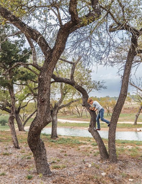 Image 15 of a home in . Image 15 of a home in .