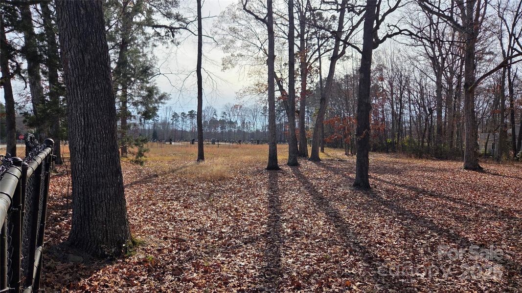 Natural landscape and outdoor views near  in Charlotte (Image 10).