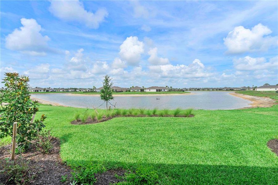 Natural landscape and outdoor views near Palmetto Landing at Babcock Ranch - Tradition in Punta Gorda (Image 46).