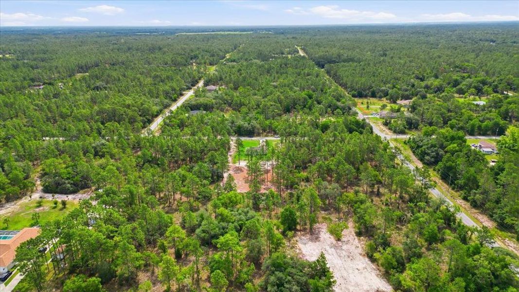 Natural landscape and outdoor views near in Dunnellon (Image 37). Natural landscape and outdoor views near in Dunnellon (Image 37).