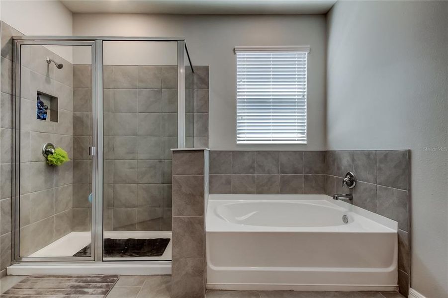 Furnished interior view inside a new home in , Wesley Chapel (Image 32).