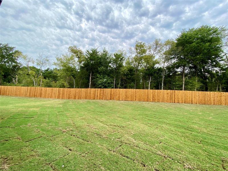 .40 acre, pie-shaped, private back yard with a mature tree line! .40 acre, pie-shaped, private back yard with a mature tree line!