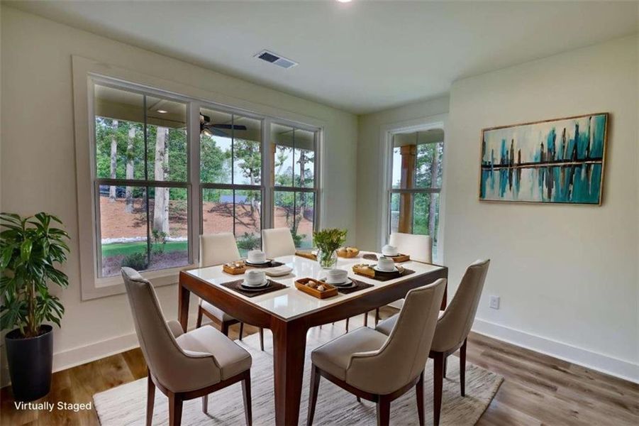 Furnished interior view inside a new home in , Monticello (Image 3). Furnished interior view inside a new home in , Monticello (Image 3).