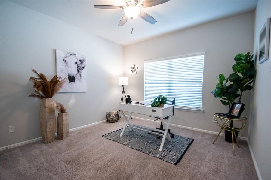 Main Floor Bedroom #1 Main Floor Bedroom #1