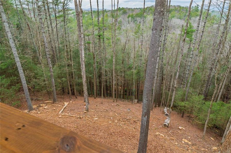 Natural landscape and outdoor views near  in Ellijay (Image 29).