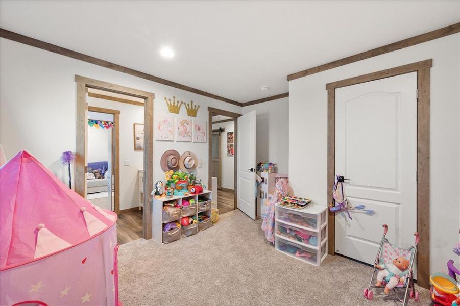 Game room with crown molding and carpet floors Game room with crown molding and carpet floors