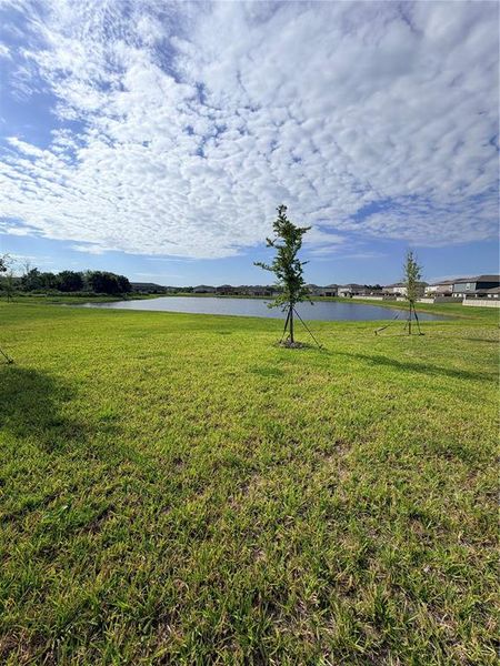 Natural landscape and outdoor views near  in Parrish (Image 47).