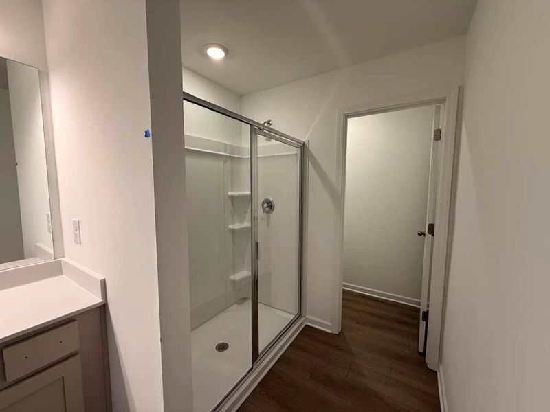 Primary Bathroom Walk-In Shower