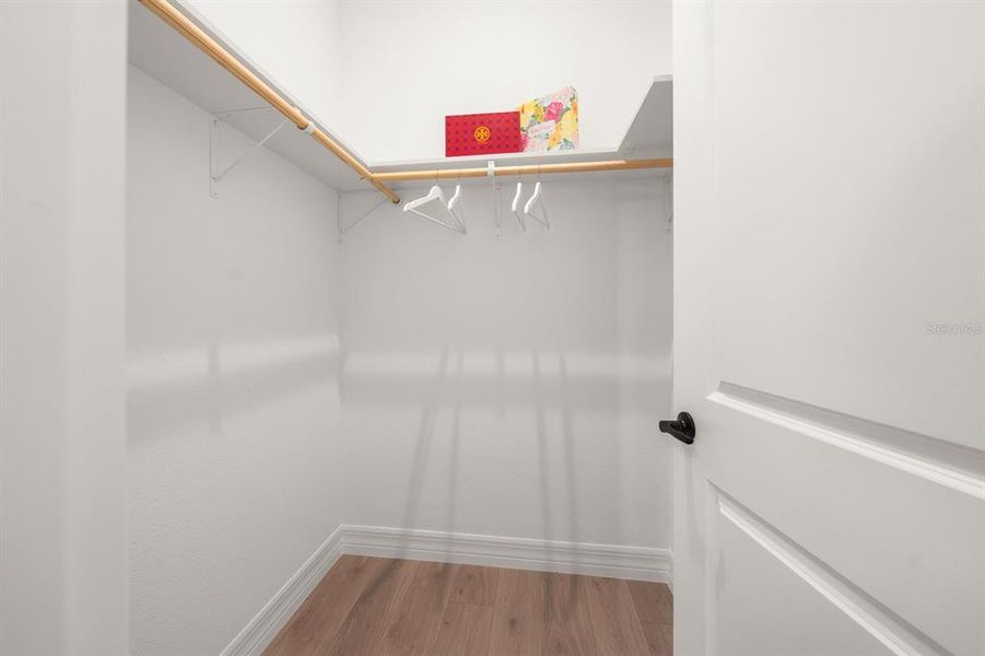 Spacious, unfurnished interior of a new home in , Dunedin (Image 21).