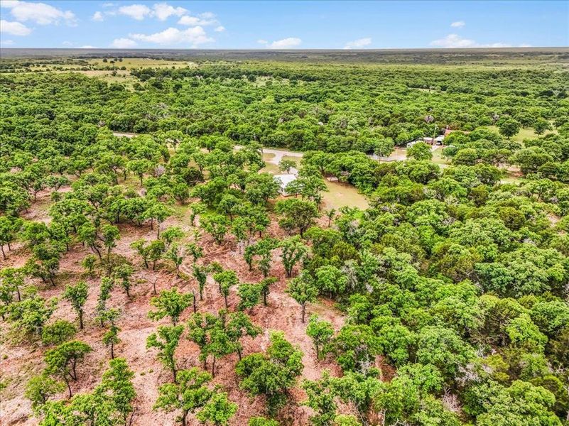 Expansive acreage featuring abundant mature trees and natural terrain under a clear sky