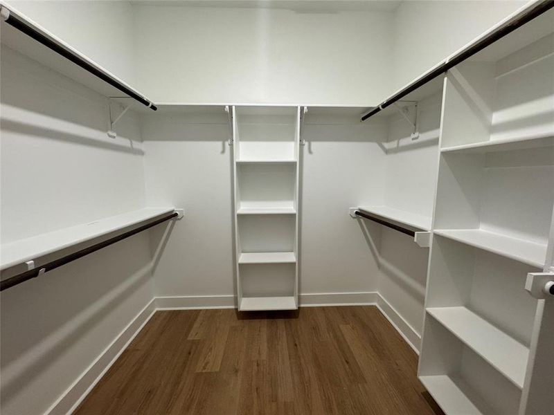 Walk in closet featuring dark hardwood / wood-style floors