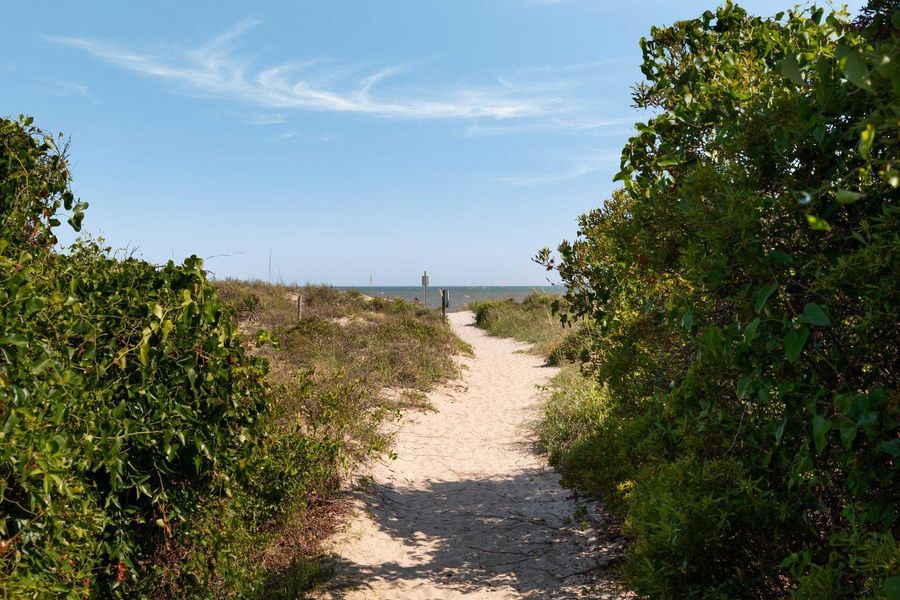Natural landscape and outdoor views near in Isle Of Palms (Image 49). Natural landscape and outdoor views near in Isle Of Palms (Image 49).