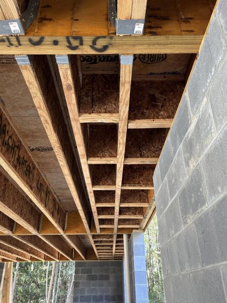 In-progress construction of a new home in The Preserve at Pennys Creek, Johns Island, SC (Image 3).