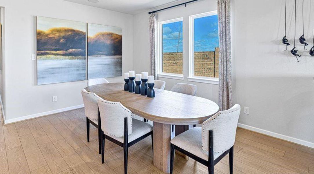 REPRESENTATIVE PHOTO