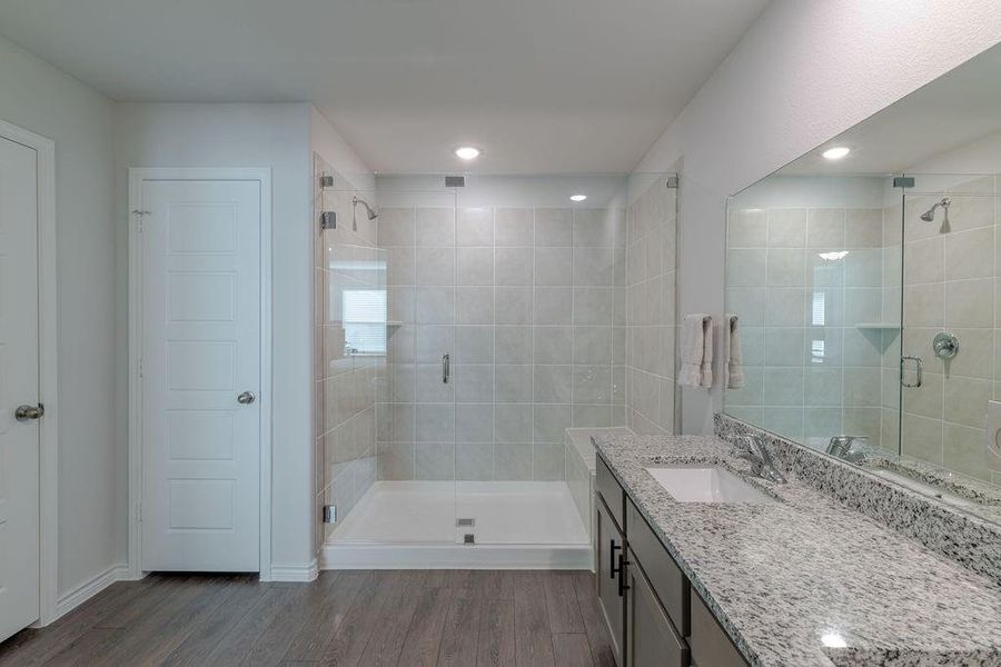 Large walk-in shower and granite counters Large walk-in shower and granite counters