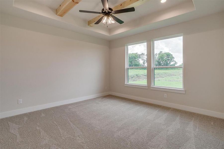 Spare room featuring carpet, ceiling fan, and a tray ceiling