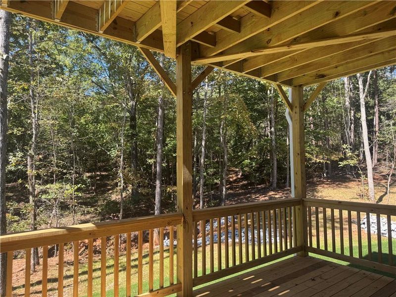 Exterior details and patio area of a home in The Fields of Walnut Creek, Pendergrass (Image 20).