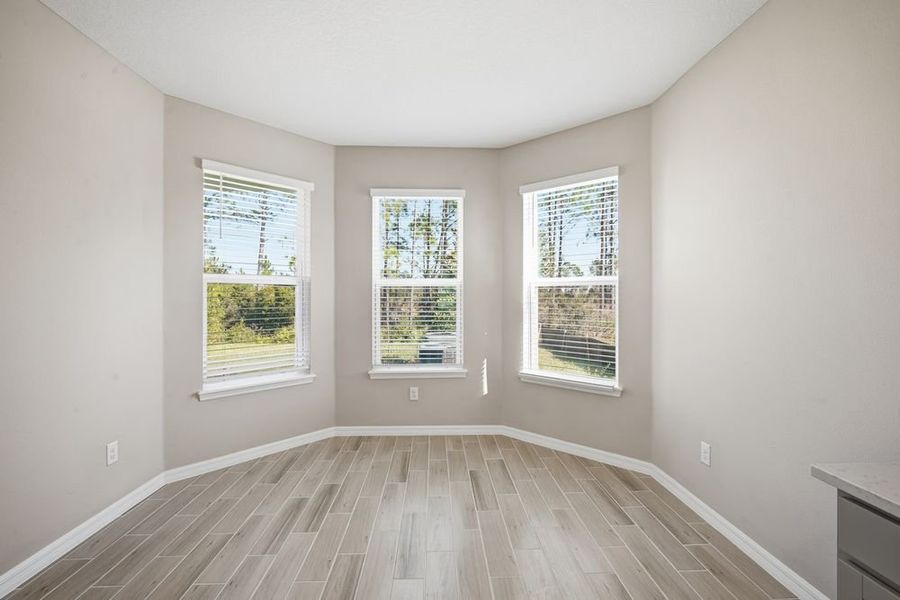 Spacious, unfurnished interior of a new home in Hammock at Two Rivers, Zephyrhills (Image 13).