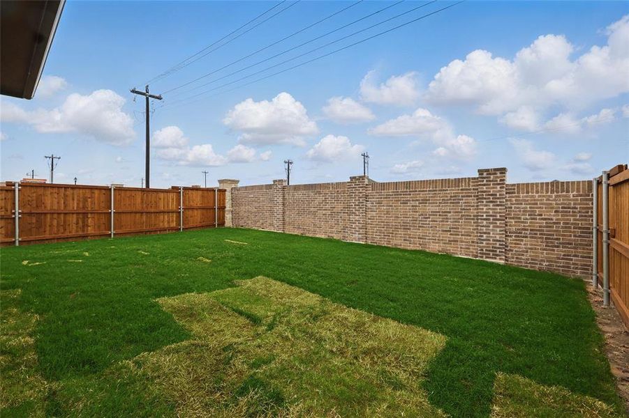 View of fenced backyard