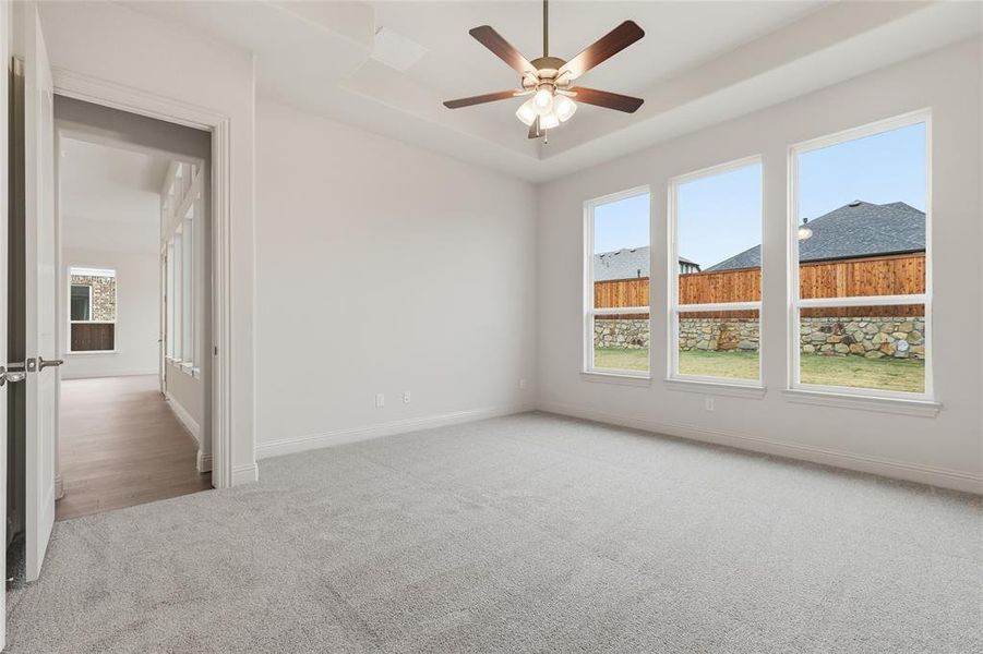 Spare room featuring a tray ceiling, healthy amount of natural light, light carpet, and ceiling fan