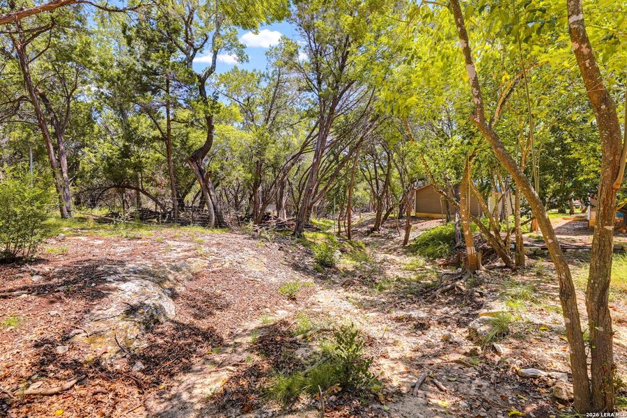 Natural landscape and outdoor views near  in Lakehills (Image 34).