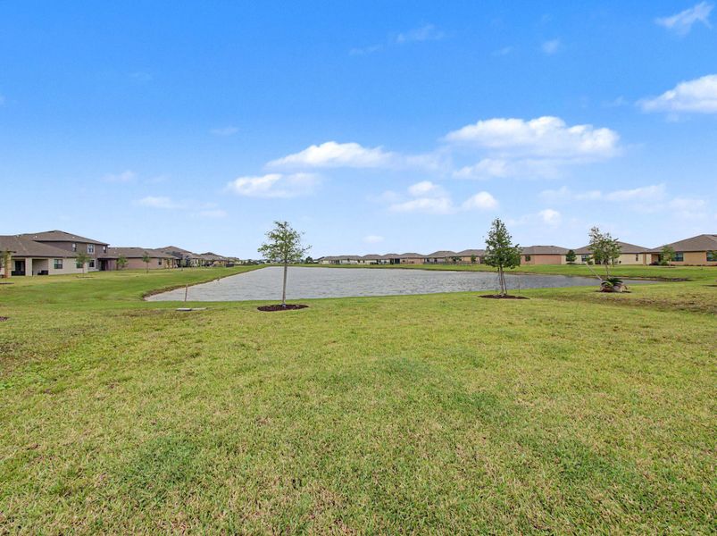 Backyard Lake