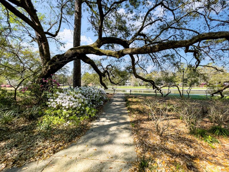 Natural landscape and outdoor views near  in North Charleston (Image 38).