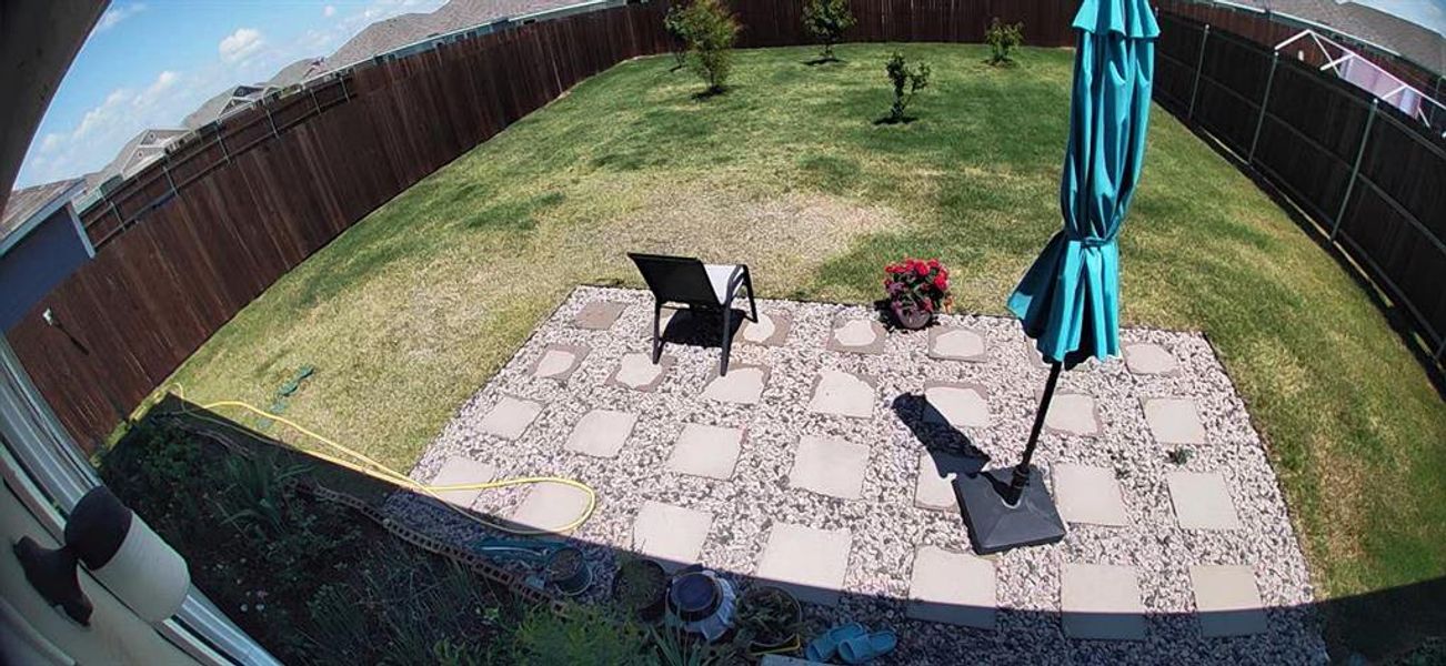 Back Yard