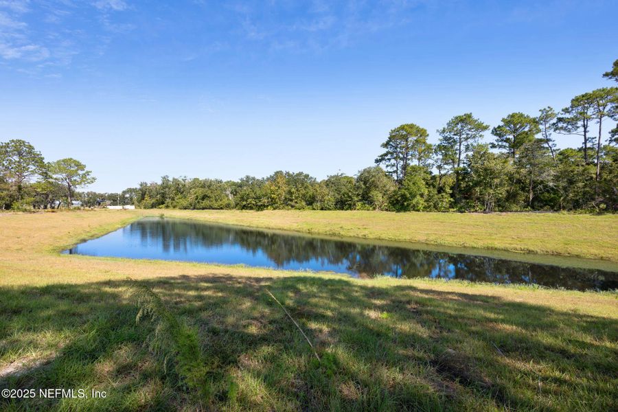 Natural landscape and outdoor views near Katie Cove in Jacksonville (Image 32).