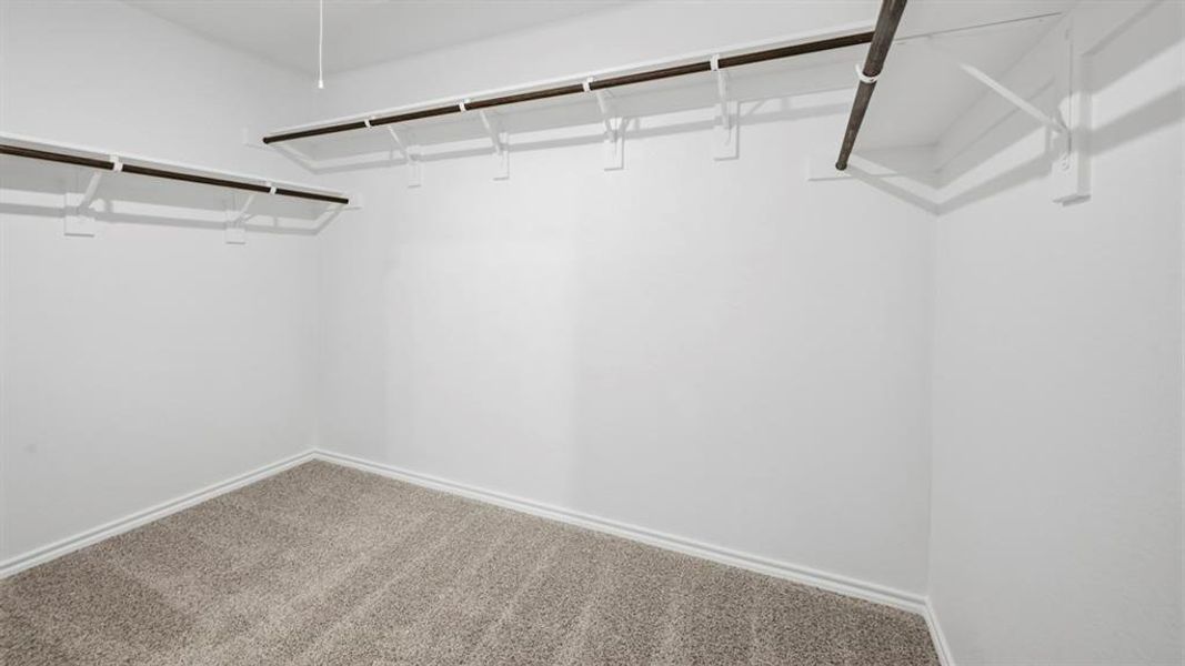 Spacious closet featuring carpet flooring