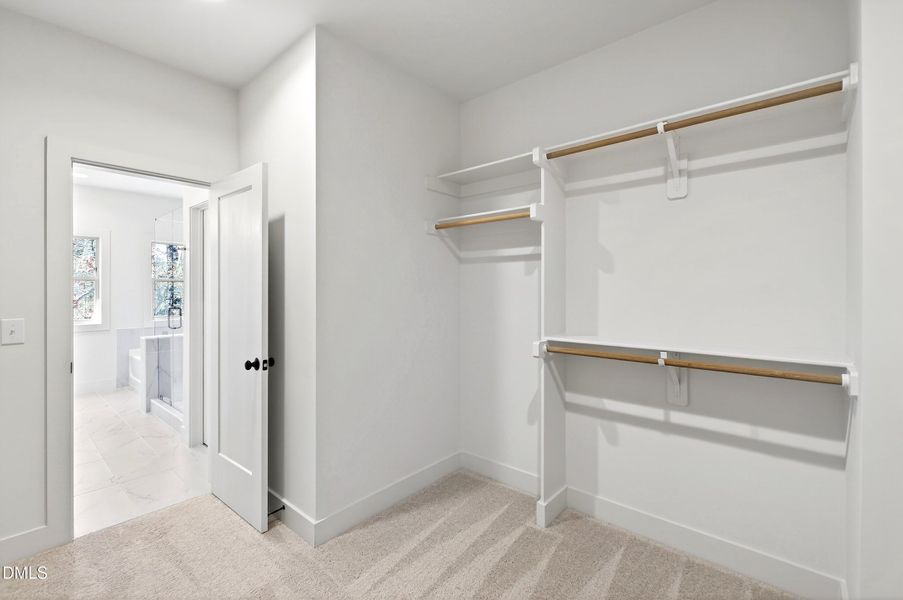 982 Helix (38) 982 Helix (38)