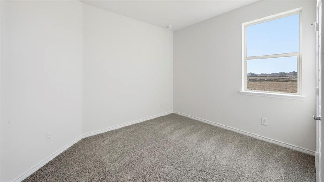 Carpeted room with a double-pane window, white trim, and light-toned walls Carpeted room with a double-pane window, white trim, and light-toned walls