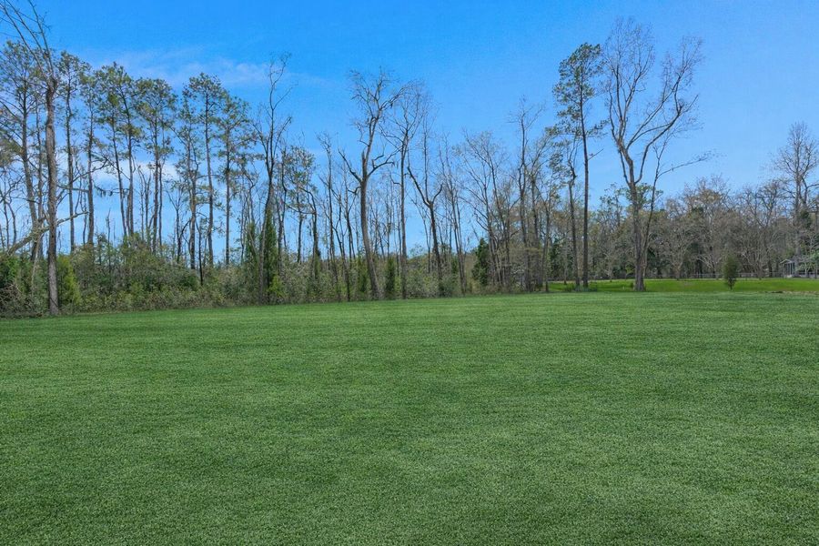 Natural landscape and outdoor views near  in Moncks Corner (Image 36).