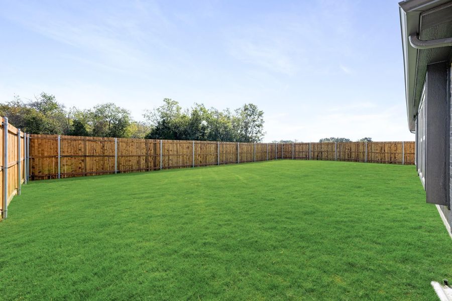 Spacious backyard with green grass lawn and full wood privacy fence enclosure Spacious backyard with green grass lawn and full wood privacy fence enclosure