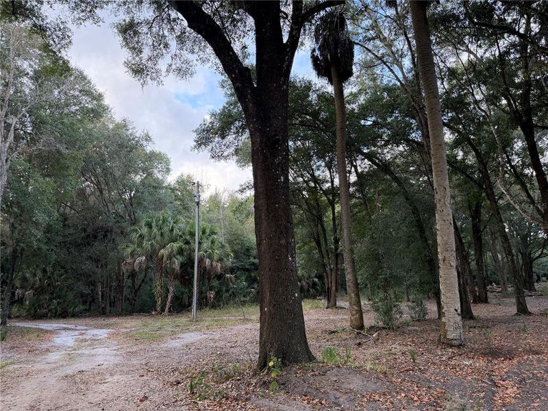 Natural landscape and outdoor views near  in Citra (Image 14).