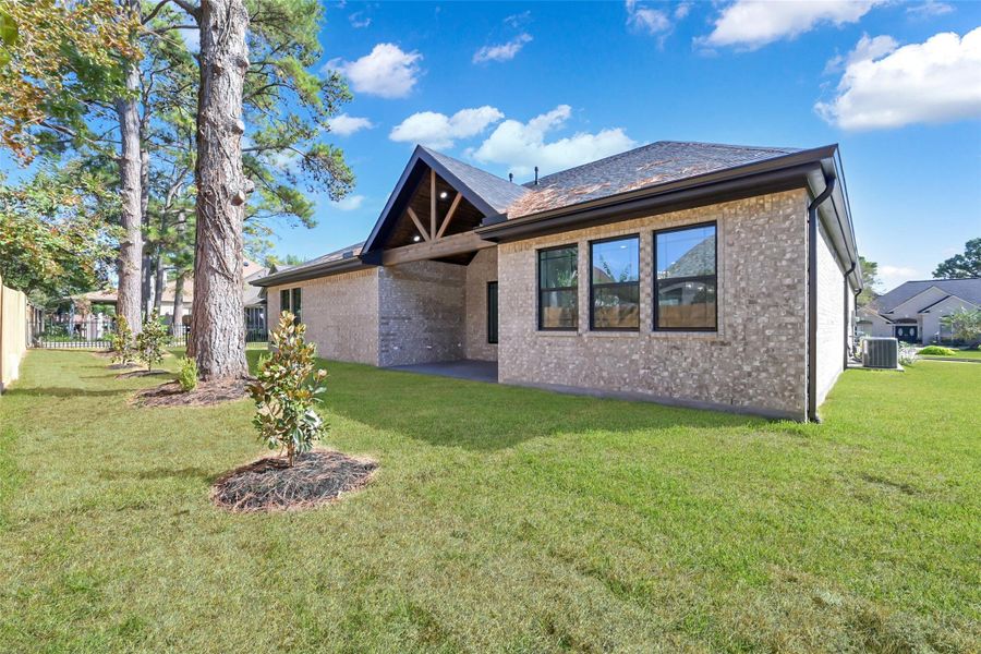 Private backyard with mature trees and room to relax Private backyard with mature trees and room to relax