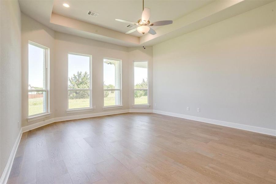 Spare room featuring light hardwood / wood-style floors, a raised ceiling, and plenty of natural light