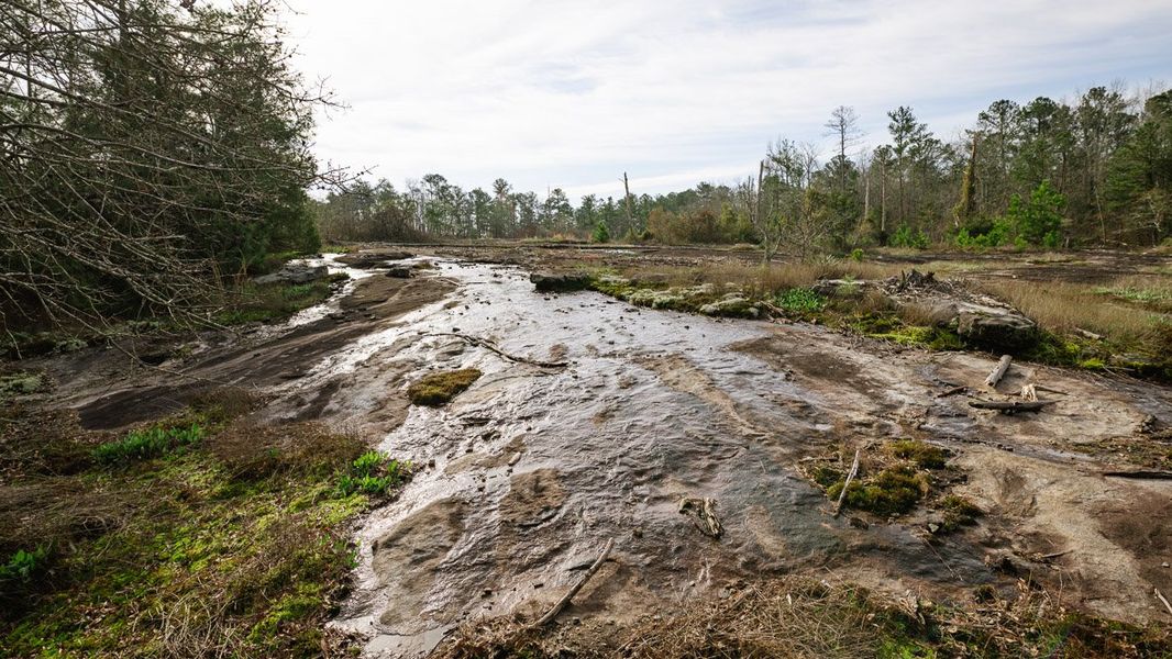 Image 23 of a home in Wellington Park. Image 23 of a home in Wellington Park.