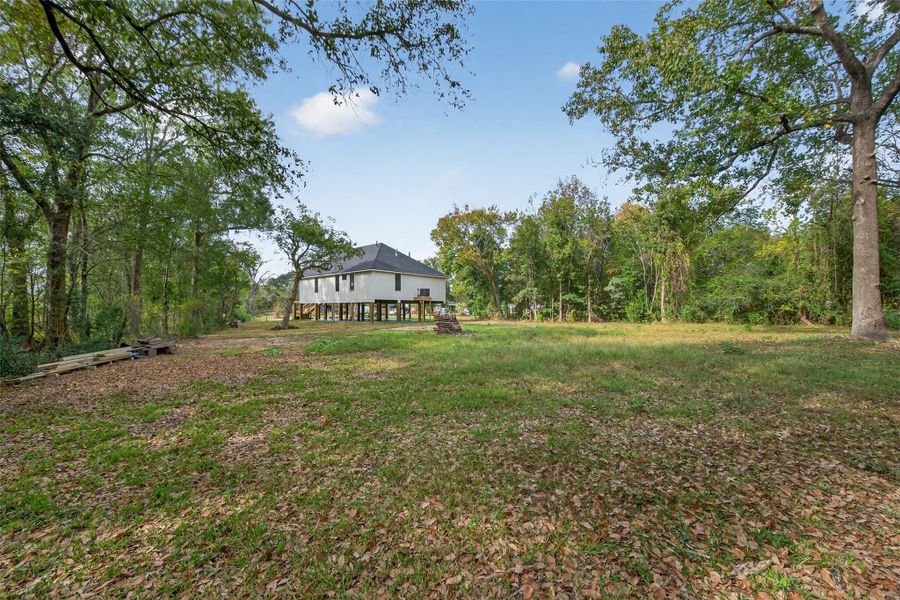 Natural landscape and outdoor views near  in Bridge City (Image 42).