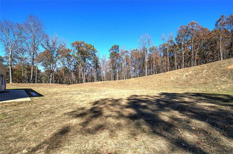 Natural landscape and outdoor views near in Cartersville (Image 25). Natural landscape and outdoor views near in Cartersville (Image 25).