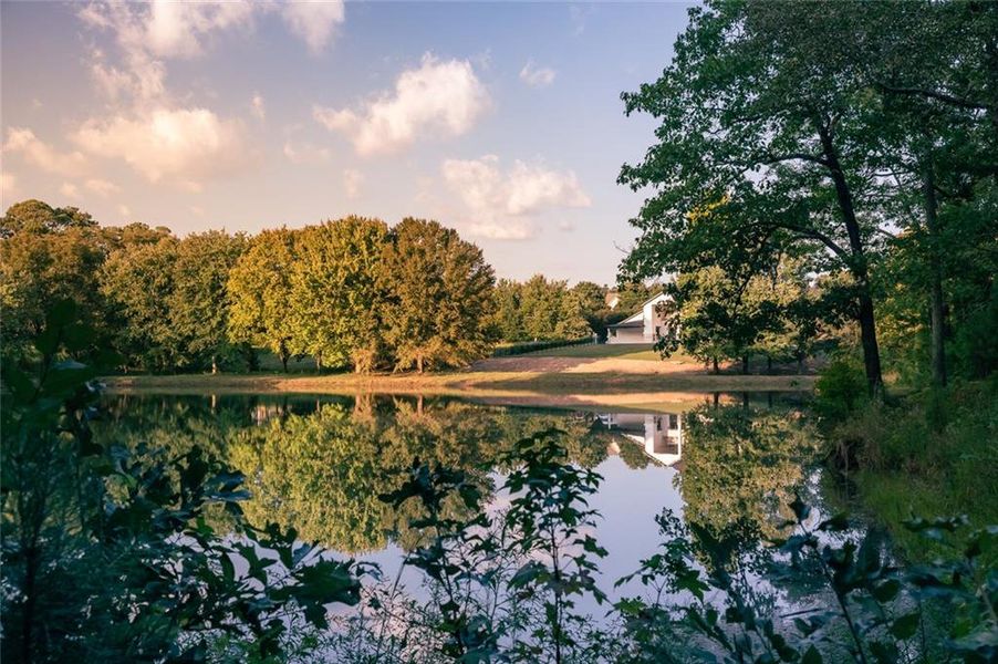 Natural landscape and outdoor views near  in Lawrenceville (Image 66).