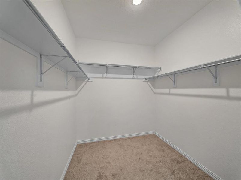 Spacious closet with carpet flooring