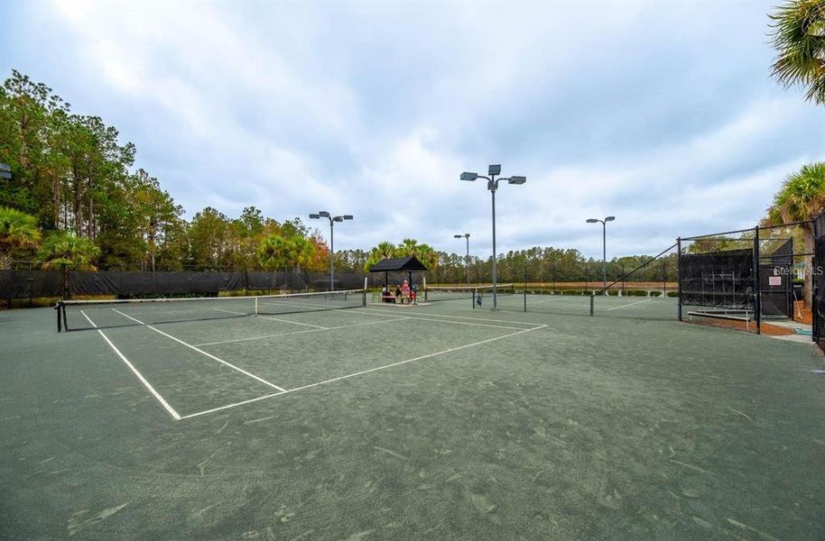 Community amenities in Southern Hills Plantation, Brooksville (Image 34).