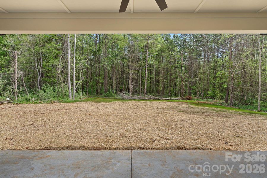 View from back patio View from back patio