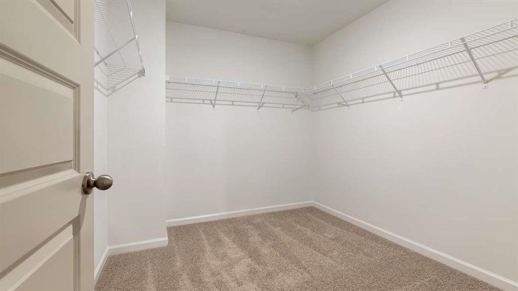 Spacious, unfurnished interior of a new home in Harvest Park, Decatur (Image 19).
